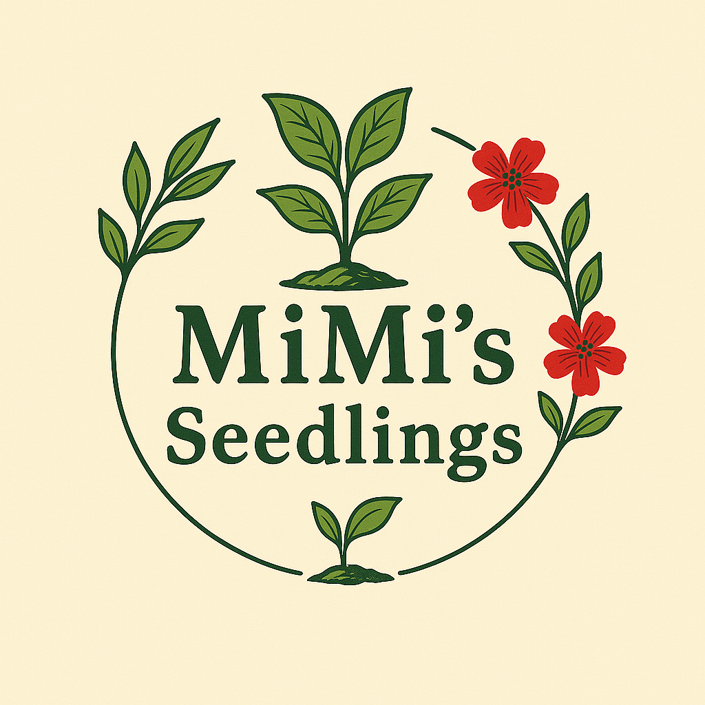 MiMi's Seedlings Logo